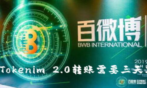 为什么Tokenim 2.0转账需要三天才到账？