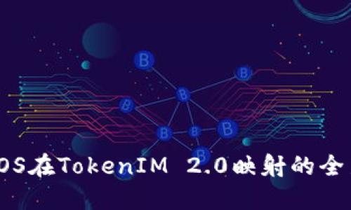 揭秘EOS在TokenIM 2.0映射的全新体验