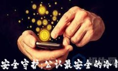 USDT的安全守护：公认最安全的冷钱包推荐
