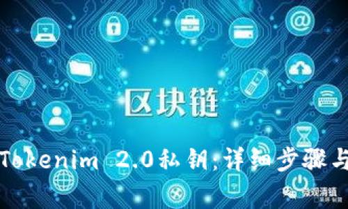 如何找回Tokenim 2.0私钥：详细步骤与注意事项