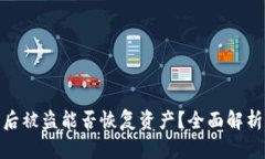 冷钱包授权后被盗能否恢复资产？全面解析与应