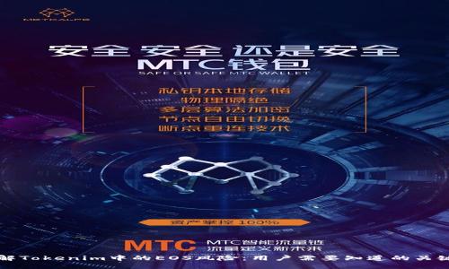 理解Tokenim中的EOS风险：用户需要知道的关键点