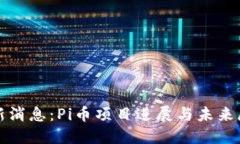 最新消息：Pi币项目进展与未来展望