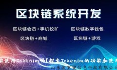 国内能使用Tokenim吗？探索Tokenim的功能和使用限制