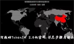: 如何找回TokenIM 2.0的密码：详尽步骤与解决方案
