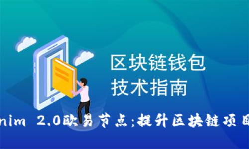 全面解析Tokenim 2.0欧易节点：提升区块链项目的质量和效率
