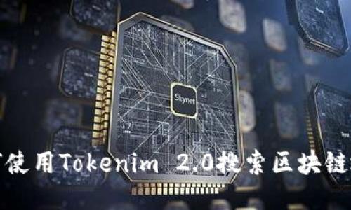 如何使用Tokenim 2.0搜索区块链地址