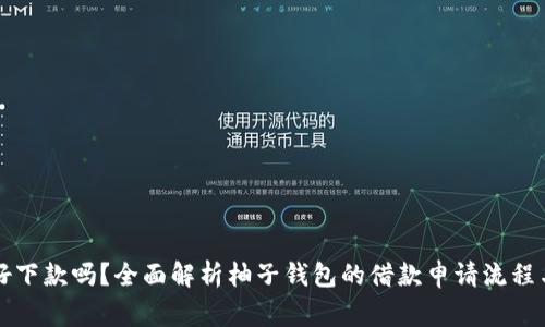 柚子钱包好下款吗？全面解析柚子钱包的借款申请流程与注意事项