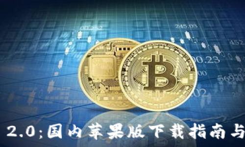  
Tokenim 2.0：国内苹果版下载指南与实用技巧